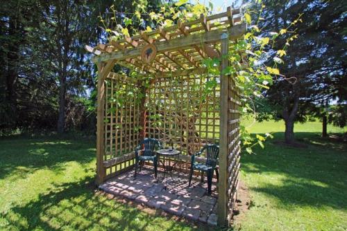 Выбор винограда для беседки. Строительство капитальной беседки