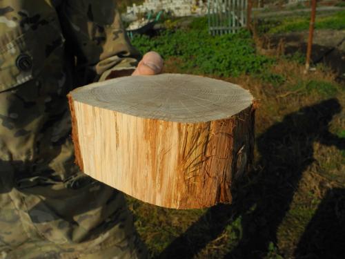 Спилы дерева для декора своими руками. Спилы дерева в интерьере