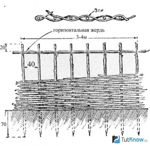Как сплести забор из ивы своими руками. Подготовительные работы 02