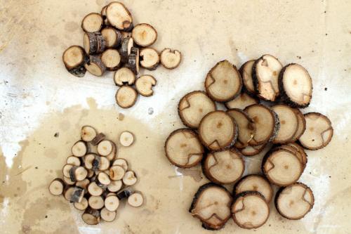 Спил дерева подставка. Подставки под горячее из дерева своими руками