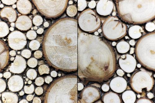 Спил дерева подставка. Подставки под горячее из дерева своими руками