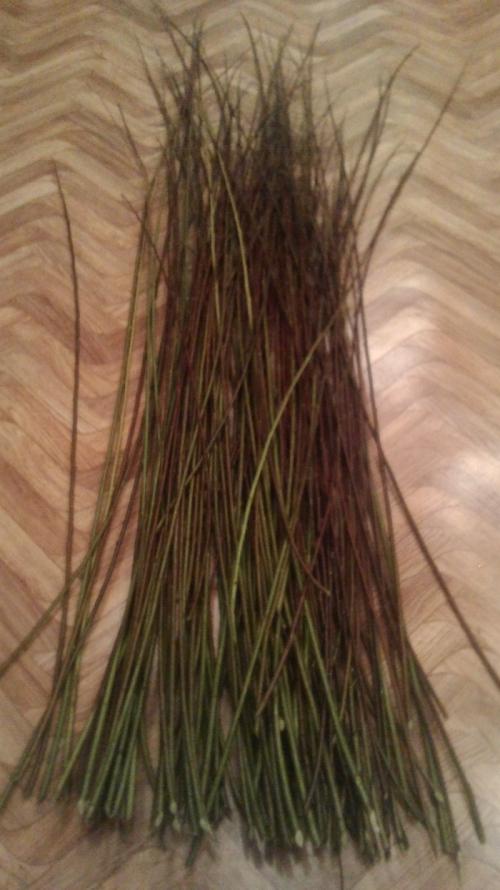 Прутья для плетения корзин. Плетём мз ивовых прутьев. Инструменты и материалы.