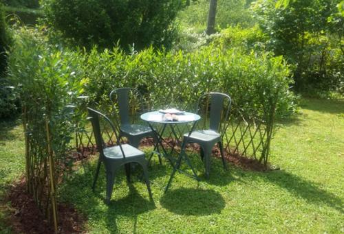 Верба для плетения. ПЛЕТЕНИЕ ИЗ ЛОЗЫ