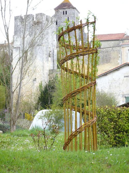 Верба для плетения. ПЛЕТЕНИЕ ИЗ ЛОЗЫ