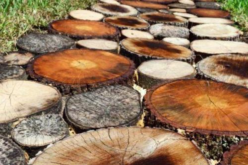 Как сделать спил дерева своими руками. Выбор дерева для украшения стены 01 Как сделать спил дерева своими руками. Выбор дерева для украшения стены 01