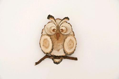 Идеи использования деревянных спилов в интерьере. Дизайнерская стена 04 Идеи использования деревянных спилов в интерьере. Дизайнерская стена 04