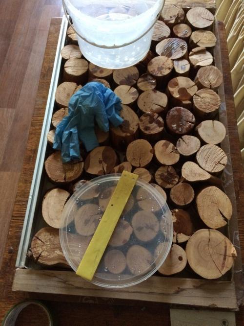 Стол из торцевых спилов берёзы и эпоксидной смолы.. Стол из спилов яблони.