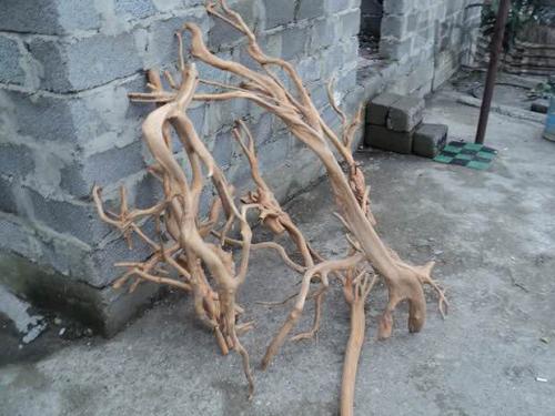 Садовая мебель из веток и коряг. Садовая мебель из дерева, веток, пеньков и коряг 17 Садовая мебель из веток и коряг. Садовая мебель из дерева, веток, пеньков и коряг 17