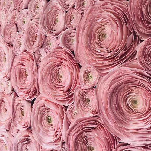 Поделки из изолона своими руками. Цветы из изолона своими руками: легкий мастер-класс для начинающих