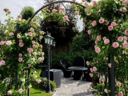 Арка для плетистой розы своими руками. Особенности