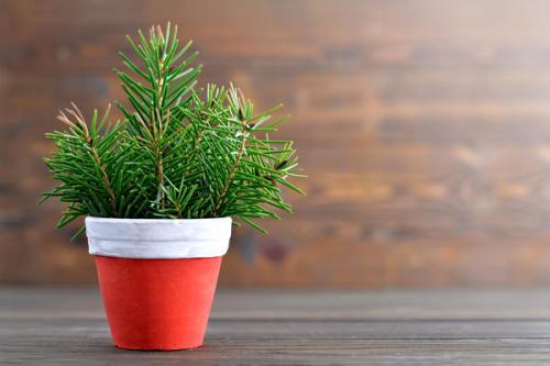 8 красивых новогодних букетов. Идеи новогодних букетов и композиций для праздничного интерьера 02 8 красивых новогодних букетов. Идеи новогодних букетов и композиций для праздничного интерьера 02