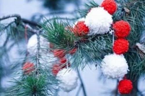 Украсить елку на улице своими руками. Украшение ёлки на улице на Новый год своими руками. 6 простых вариантов самодельных ёлочных игрушек