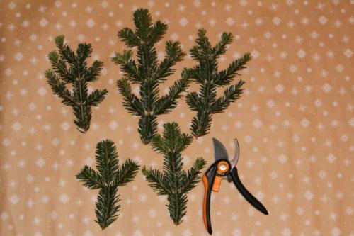 Букет из веток ели. Букет из мандаринов и еловых веток своими руками