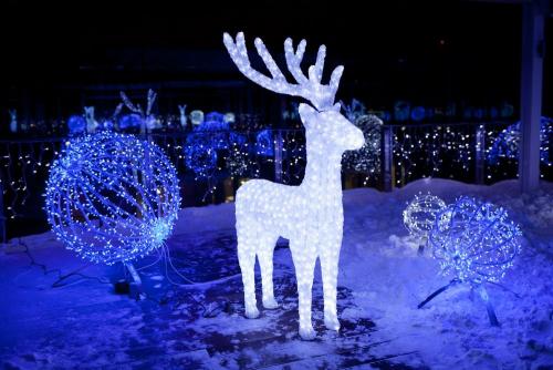 Как украсить дом снаружи на Новый год своими руками. Украшение фасада: самые топовые идеи к Новому 2022 году