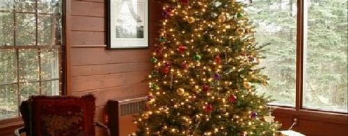 Как украсить елку мишурой красиво. Как украсить елку на новый год: фото, идеи, какие цвета использовать в 2023 году