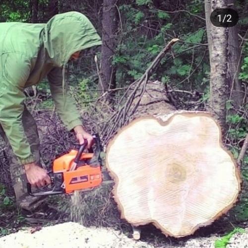 Стол из спила дерева своими руками. Журнальный столик из спила березы