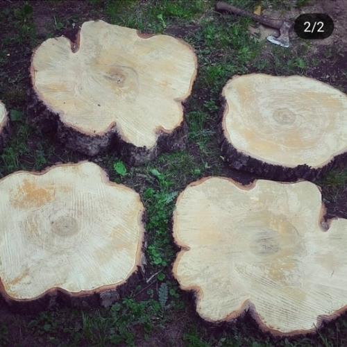 Стол из спила дерева своими руками. Журнальный столик из спила березы