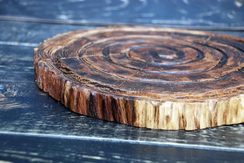 Ножки для стола из спила. Как сделать столешницу из среза дерева