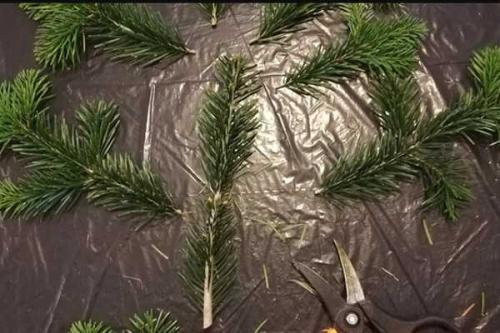 Композиция из еловых веток своими руками. Новогодняя композиция на стол, как сделать своими руками из подручных материалов