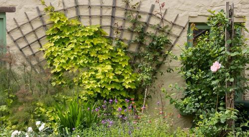 Какими бывают опоры для вьющихся растений и как их выбрать. Арки 01