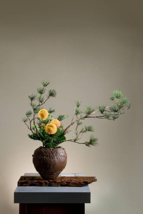 Икебана из еловых веток своими руками. Как сделать новогоднюю икебану 34 Икебана из еловых веток своими руками. Как сделать новогоднюю икебану 34