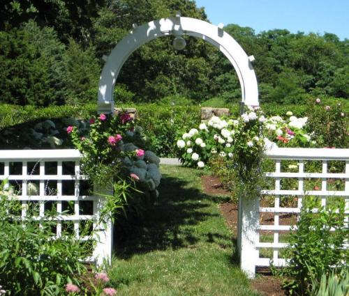 Садовая арка для вьющихся растений. Садовая арка – функции в ландшафтном дизайне