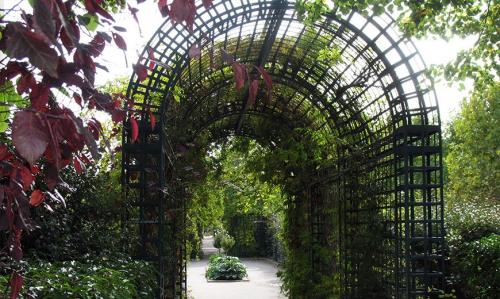 Арка из растений в парке. Арки для вертикального озеленения