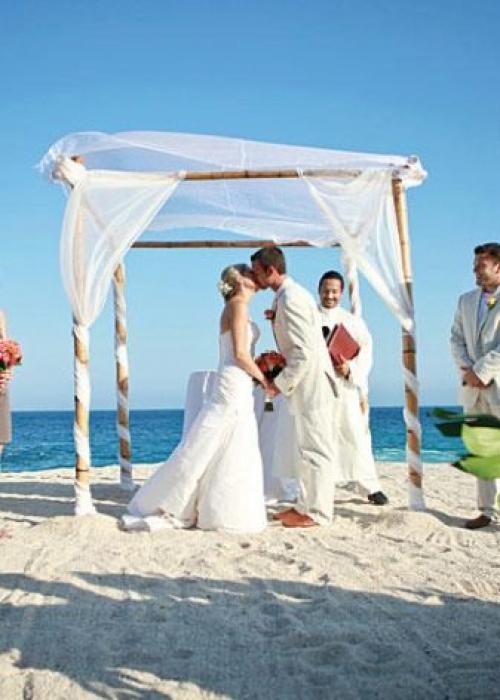 Свадебная арка из живых цветов без помощи профессионала. Как выбрать? 03 Свадебная арка из живых цветов без помощи профессионала. Как выбрать? 03