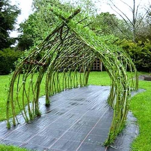 Плетеная беседка из ивы. Как сделать беседку красиво и недорого: беседки из ивы