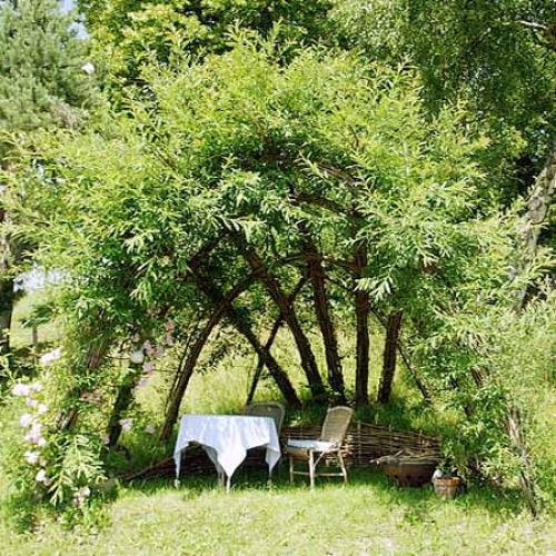 Плетеная беседка из ивы. Как сделать беседку красиво и недорого: беседки из ивы