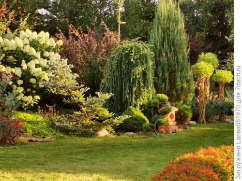 Плетеное дерево из обычной ивы. 'Датские корни' — плетёная ива или русская пальма