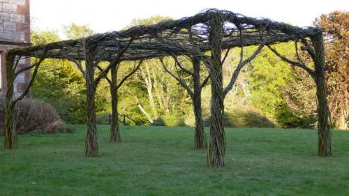 Плетение живых беседок из ивы. Живая беседка из ивы своими руками