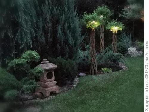 Плетеное дерево из обычной ивы. 'Датские корни' — плетёная ива или русская пальма