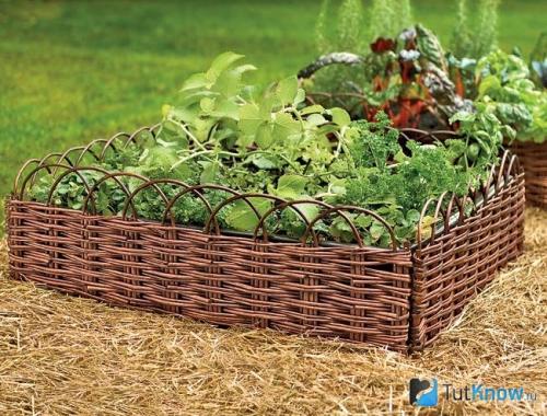 Как сделать плетеную клумбу своими руками. Процесс изготовления плетеных клумб 09