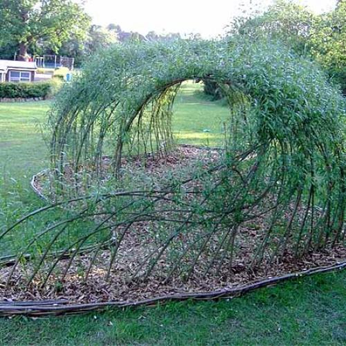 Беседка из ивы плетеная. Как сделать беседку красиво и недорого: беседки из ивы