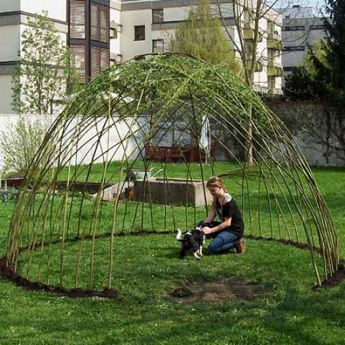 Беседка из ивы плетеная. Как сделать беседку красиво и недорого: беседки из ивы