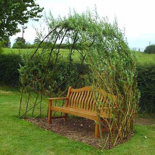 Беседка из ивы плетеная. Как сделать беседку красиво и недорого: беседки из ивы