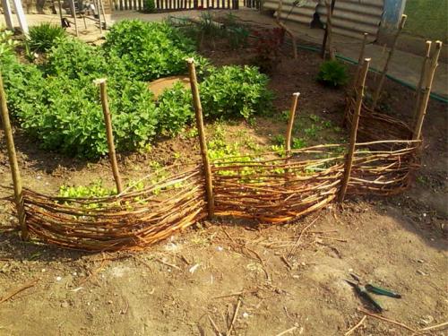 АРКА для сада из лозы #лозоплетение. Ветки деревьев