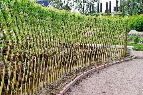 АРКА для сада из лозы #лозоплетение. Ветки деревьев