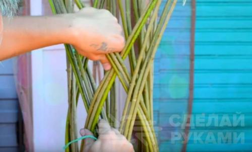 Плетеное дерево из обычной ивы. Плетёная ива своими руками из обычного куста