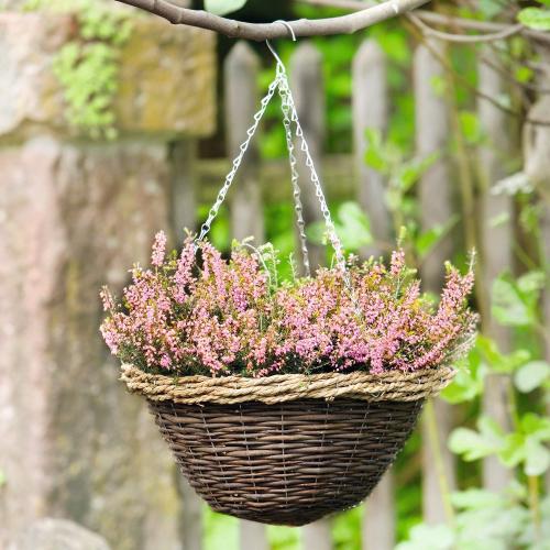 Живая беседка из ивы своими руками. Красивейшая беседка из ивы в саду своими руками 17