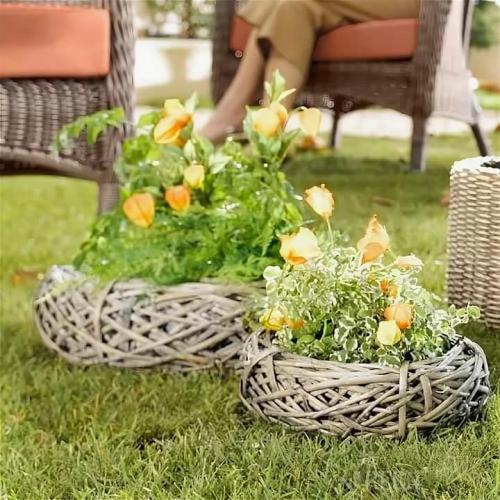 Живая беседка из ивы своими руками. Красивейшая беседка из ивы в саду своими руками 19