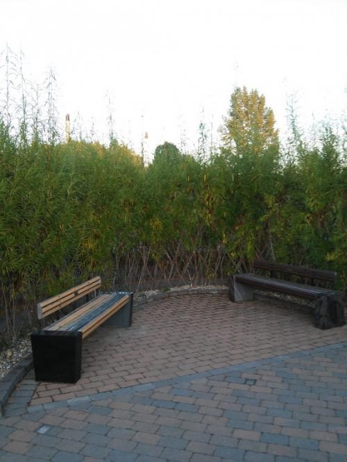 Арка из ивы своими руками. СПБ арки садовые.