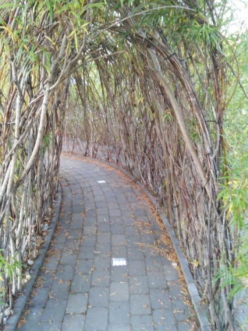 Арка из ивы своими руками. СПБ арки садовые.