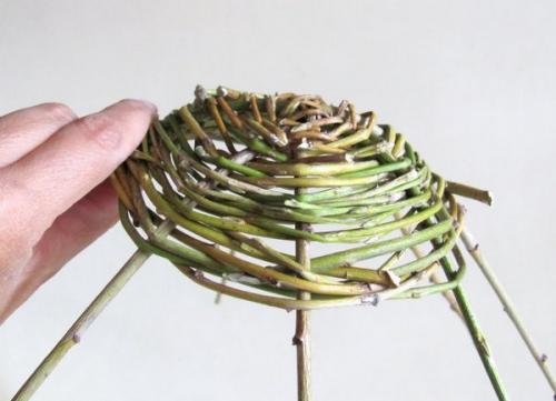 Живая беседка из ивы своими руками. Красивейшая беседка из ивы в саду своими руками 18