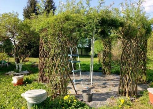 Беседки из ивы своими руками. Живая беседка из ивы своими руками