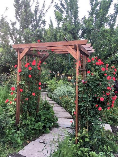 Как выбрать материал и растения для арки. Материал для арок