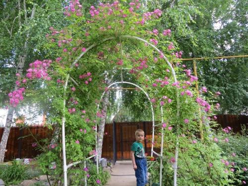 Как выбрать материал и растения для арки. Материал для арок