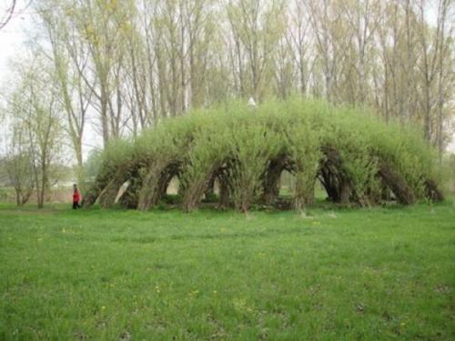 Как сделать живую беседку. Живая беседка своими руками – украшение вашего участка