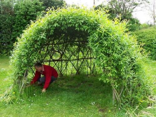 Плетеная беседка из ивы. Живая беседка из ивы своими руками